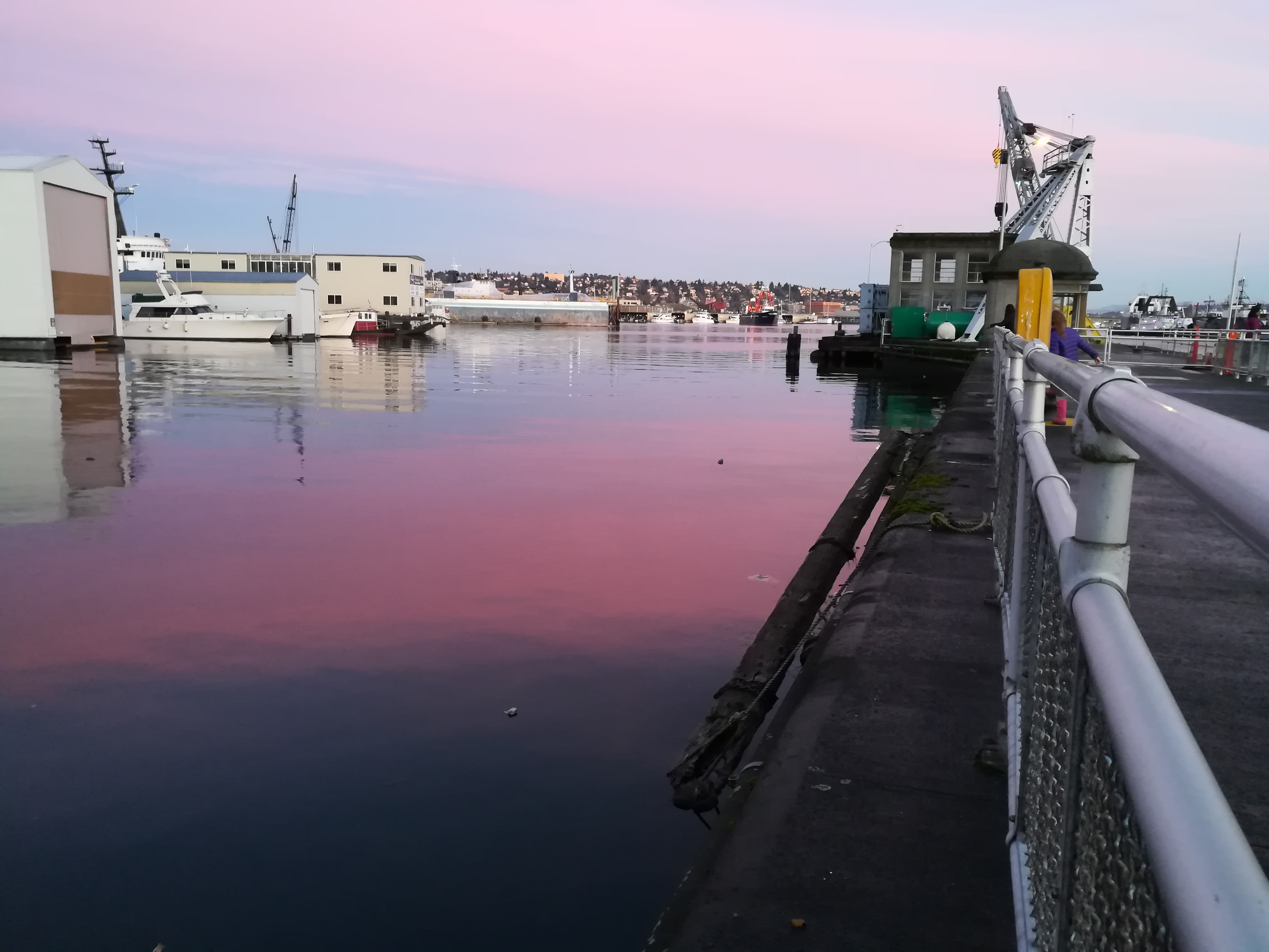 Evening Water Glow at Locks