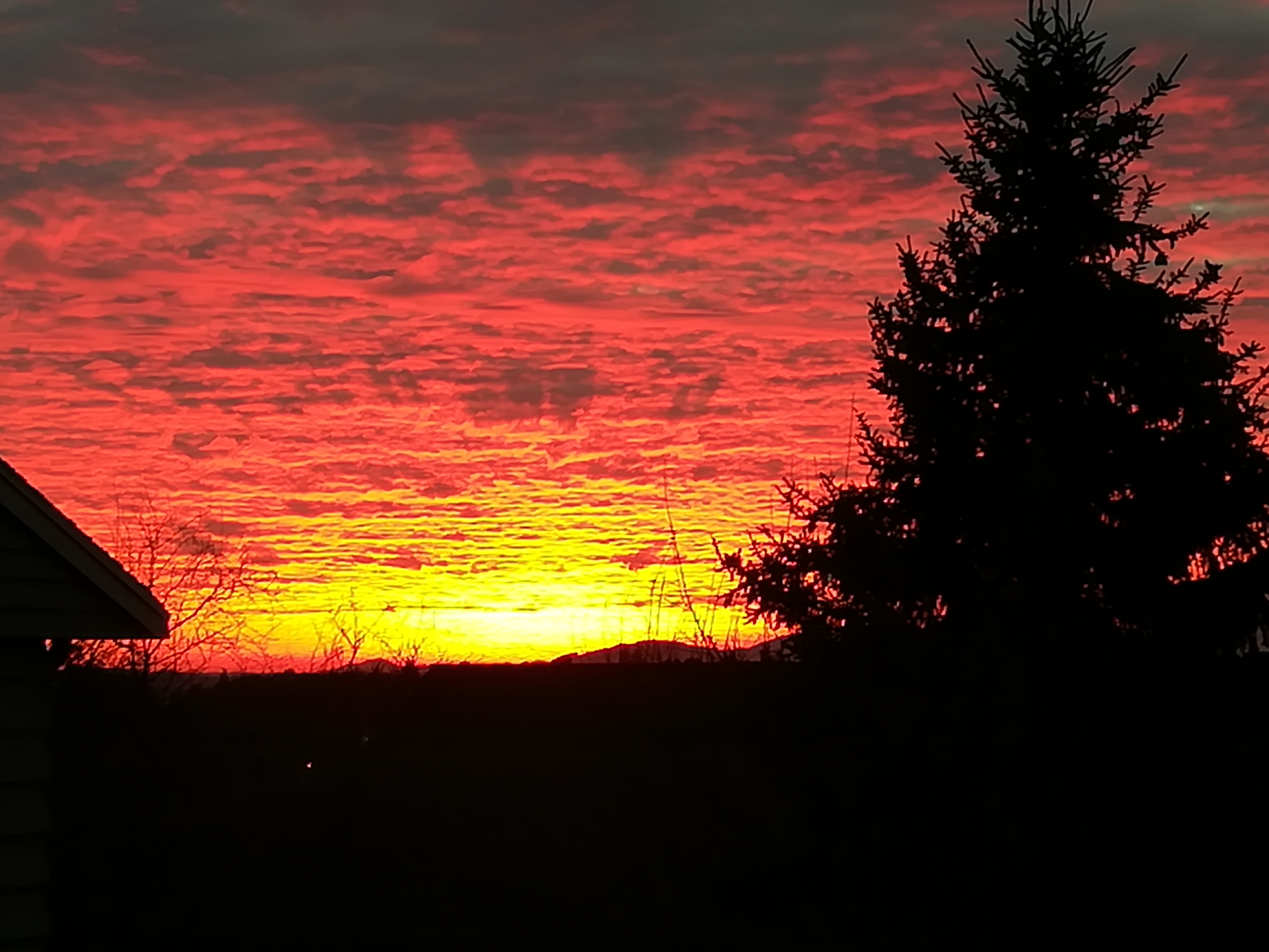 Stunning January Sunset in Seattle