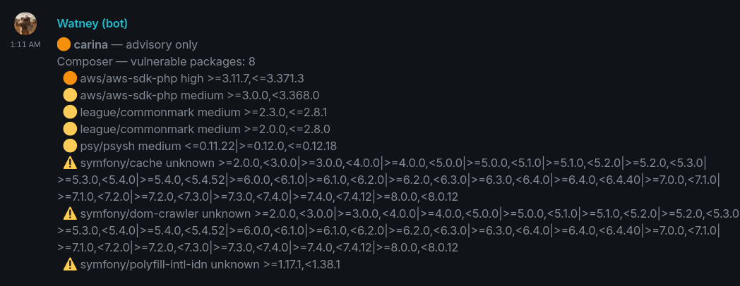Matrix message showing a list of vulnerable packages, with a colored dot indicating severity