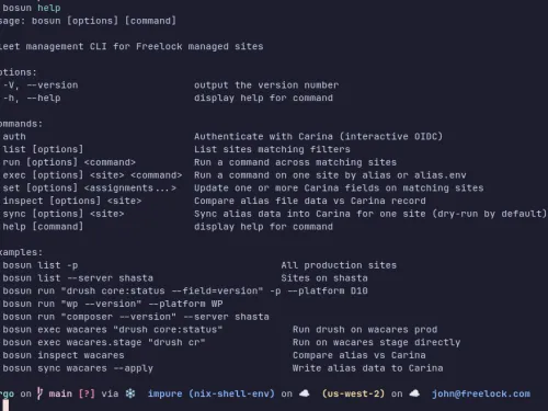 Bosun command help text with examples