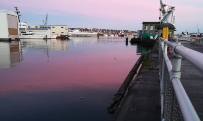 Evening Water Glow at Locks