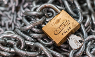 AI vulnerabilities, security incidents, resilience, Drupal WordPress, cybersecurity