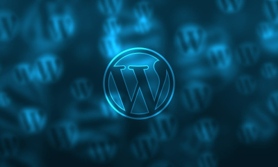 WordPress security vulnerability hacker cyberattack website